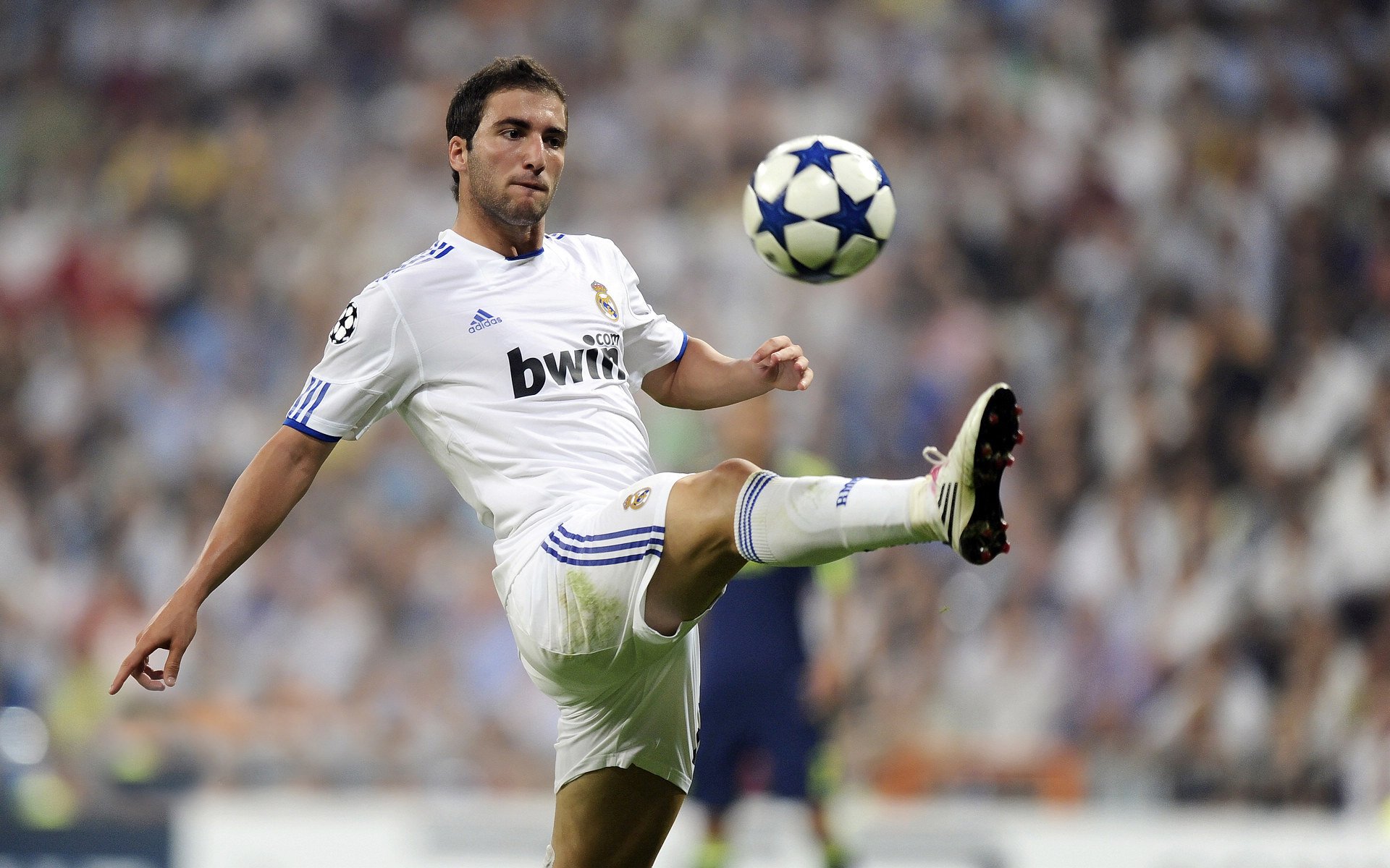 公牛与谷歌合作开发“球员语音档案库”,公牛online是正品吗