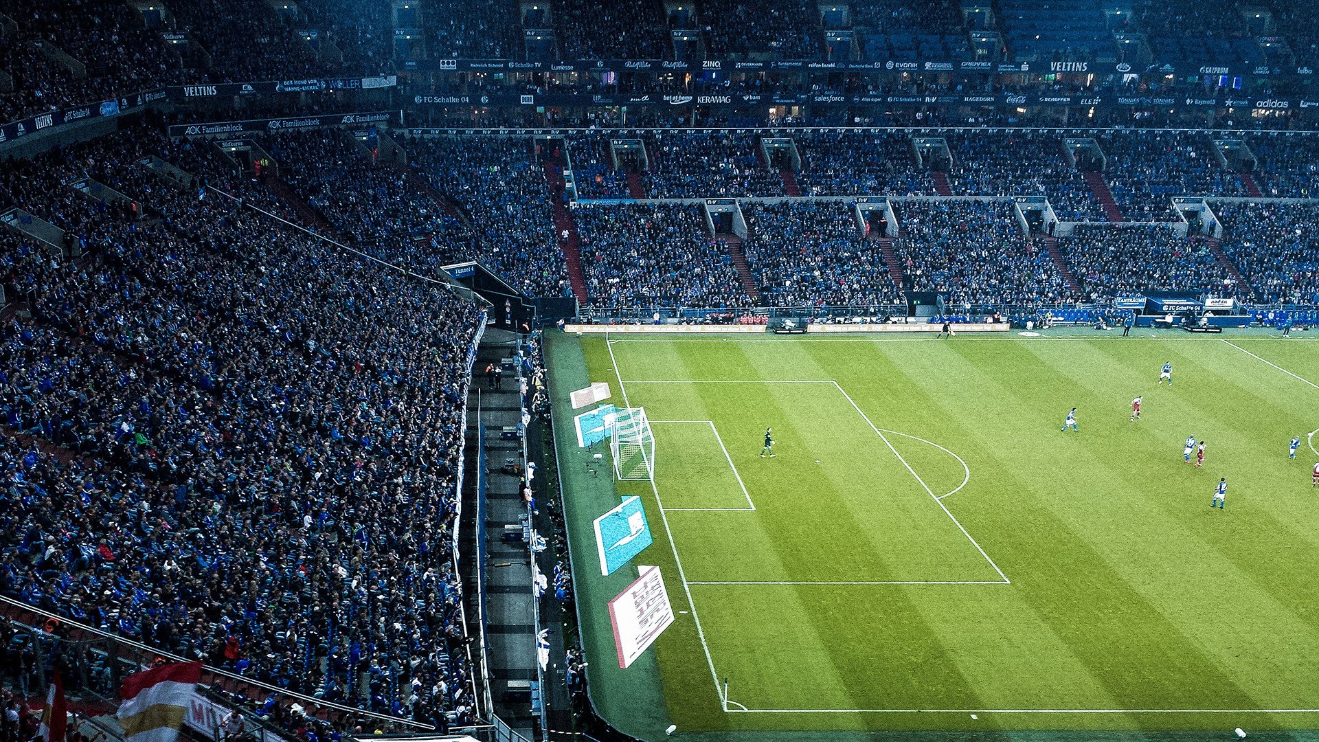 浮潜和潜水比赛，探索海底的神秘世界，浮潜项目